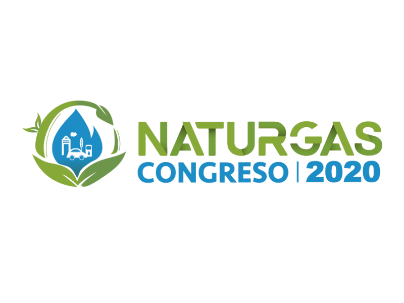 Logo Naturgas v3_Mesa de trabajo 1